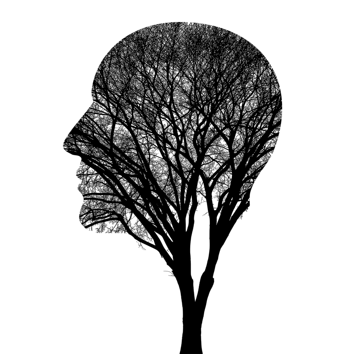 The Psychology of Scent