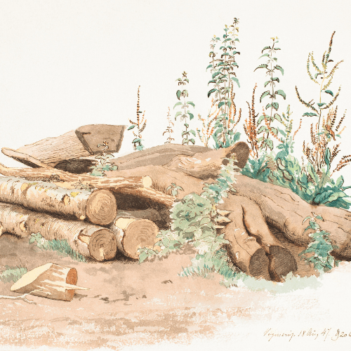 Whispers woody oud perfume oil with frankincense and musk